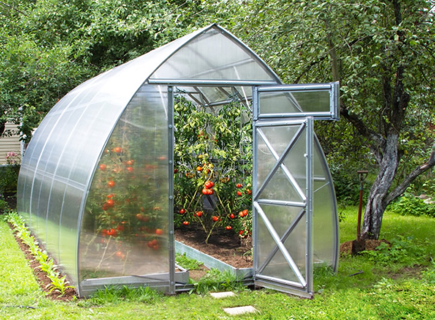 Greenhouse
